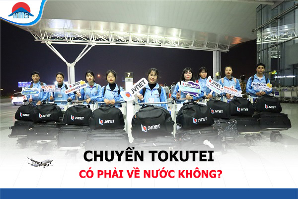 chuyển tokutei có phải về nước không