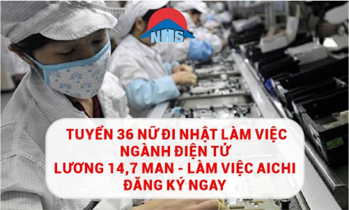 đơn hàng điện tử đi Nhật 
