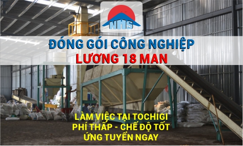 Đơn hàng nhật bản NHS