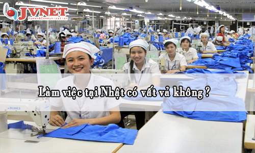 Làm việc tại Nhật Bản có vất vả không?
