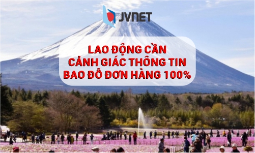 tư vấn xuất khẩu lao động