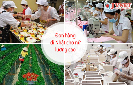 đơn hàng đi Nhật cho nữ