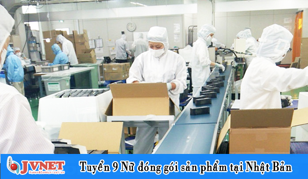 dong goi san pham tai nhat ban 