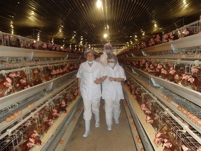 TUYỂN NỮ NÔNG NGHIỆP CHĂN NUÔI TẠI NHẬT