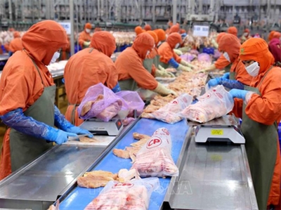 TUYỂN 4 NỮ CHẾ BIẾN THỊT GÀ 