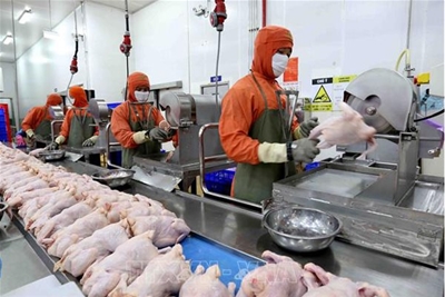 TUYỂN 10 NỮ CHẾ BIẾN THỨC ĂN 